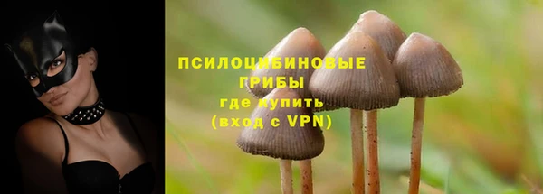 дмт Беслан