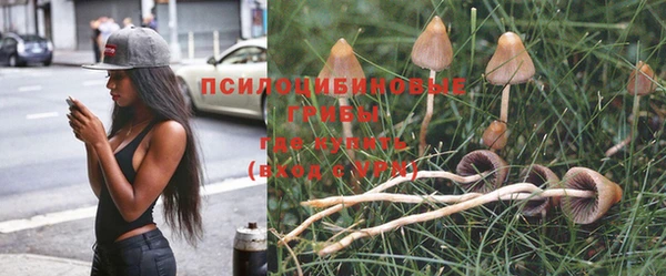 spice Нязепетровск
