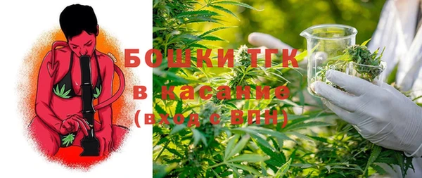 2c-b Новозыбков