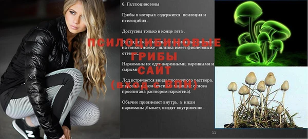 2c-b Новозыбков