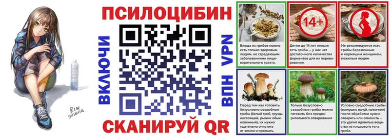дарнет шоп  Козьмодемьянск  Галлюциногенные грибы Psilocybe 